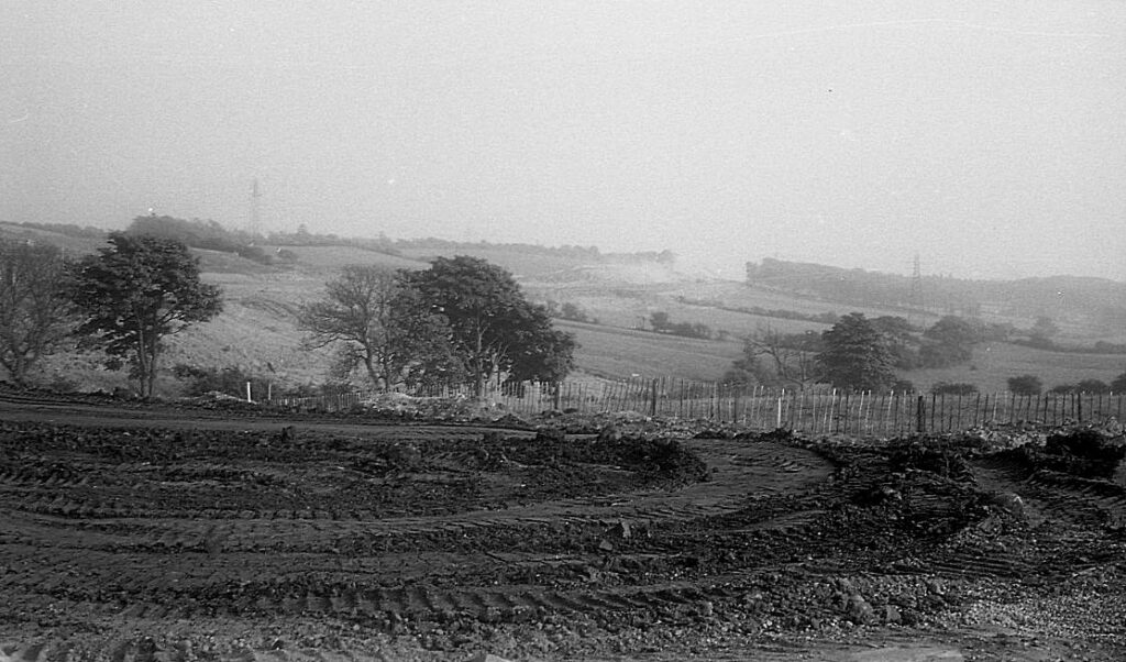 Bailrigg Wood from Hala Hill.